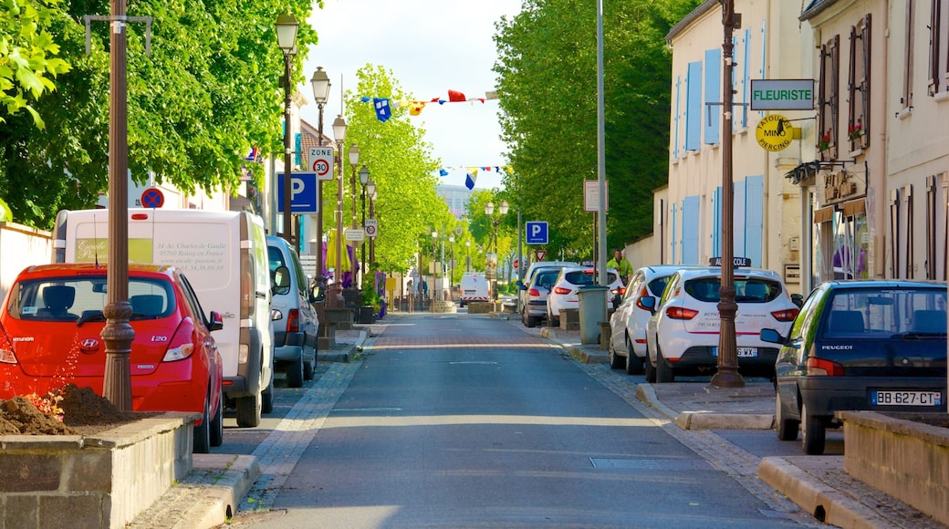Roissy-en-France showing a small town or village, a city and street scenes