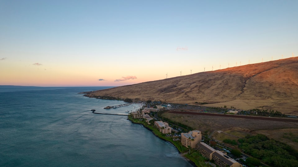 A coastal landscape with a marina, buildings, and wind turbines on a hillside.