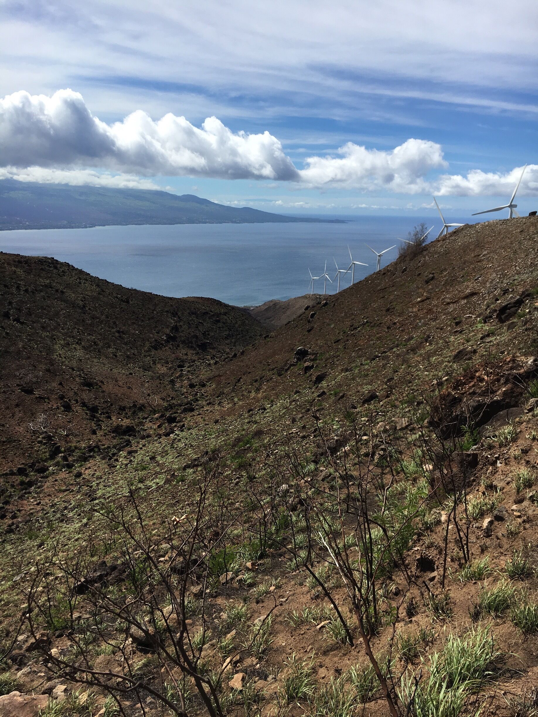 Decent hike, easier ascent from Lahaina side