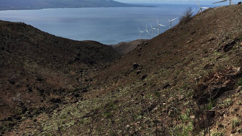 Decent hike, easier ascent from Lahaina side