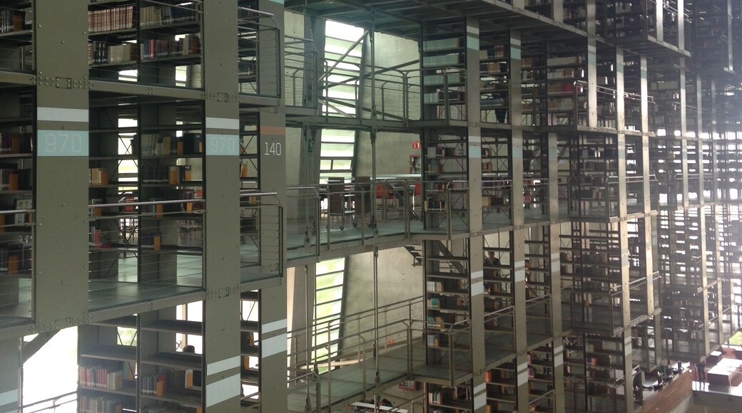 Biblioteca Vasconcelos