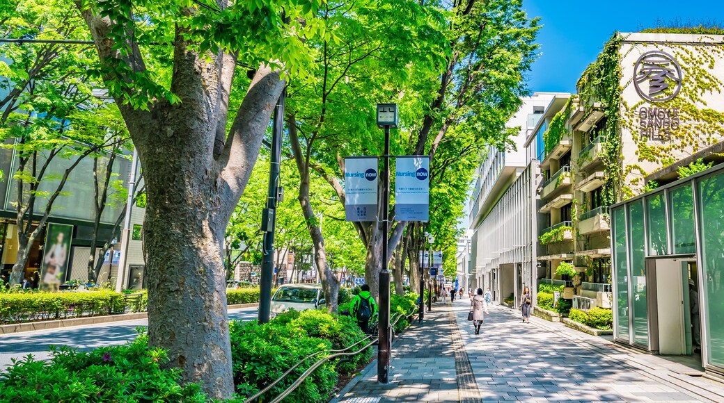 東京 青山 表参道 ~ Omotesando, the most fashionable street in Tokyo, Japan ~