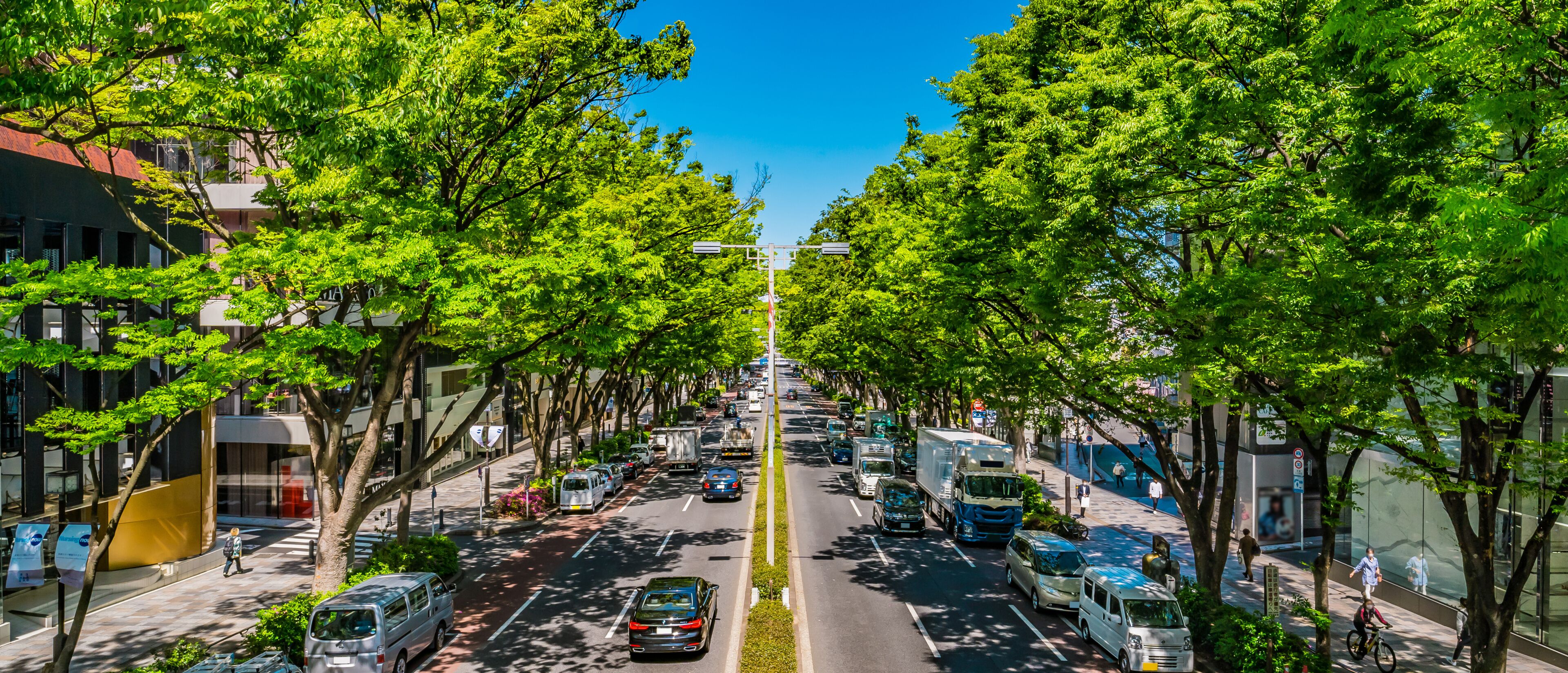 東京 青山 表参道 大通り~ Omotesando, the most fashionable street in Tokyo, Japan ~