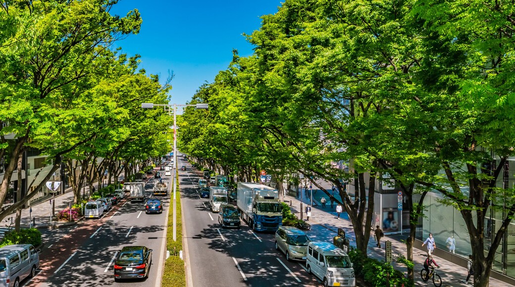 東京 青山 表参道 大通り~ Omotesando, the most fashionable street in Tokyo, Japan ~
