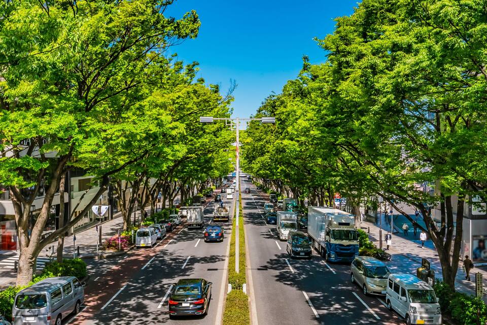 東京 青山 表参道 大通り~ Omotesando, the most fashionable street in Tokyo, Japan ~