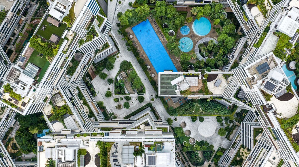 The Interlace
