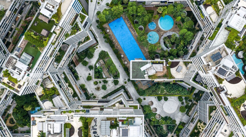 The Interlace