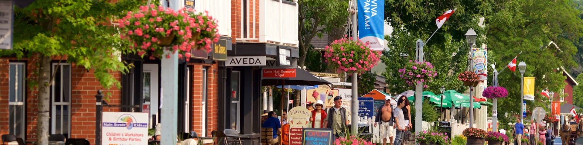 Markham das einen Blumen und Straßenszenen sowie kleine Menschengruppe