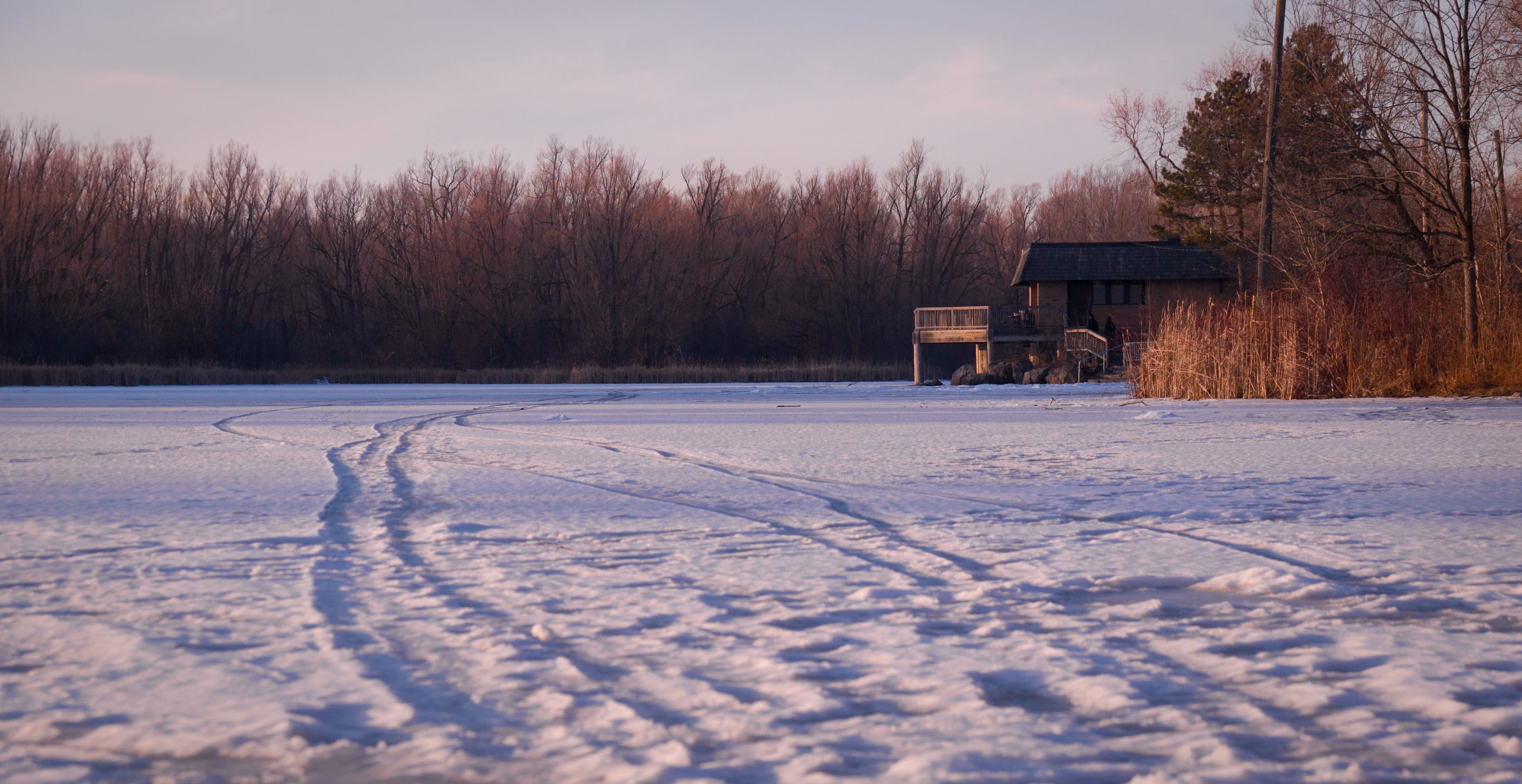 A snowy landscape with a wooden structure and a forest in the background.