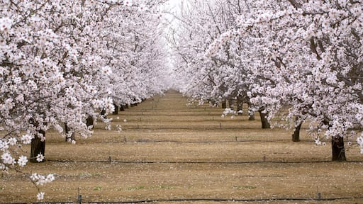 ์ฐํ๋ฌ๋ผ