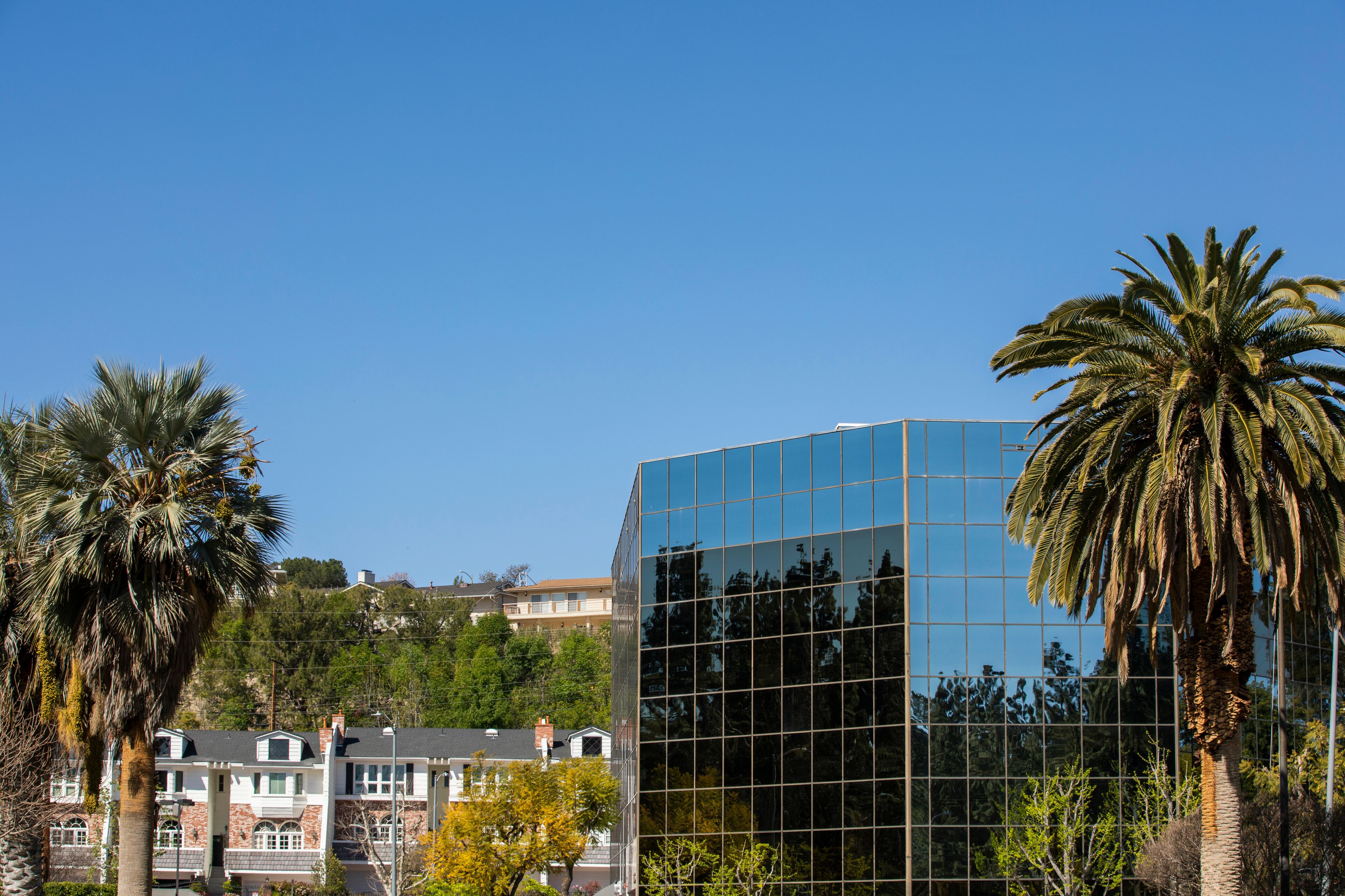 A modern glass building, palm trees, and residential houses in the background.