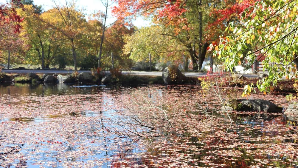 Duck Pond in Fall, West Greenwich, Rhode Island