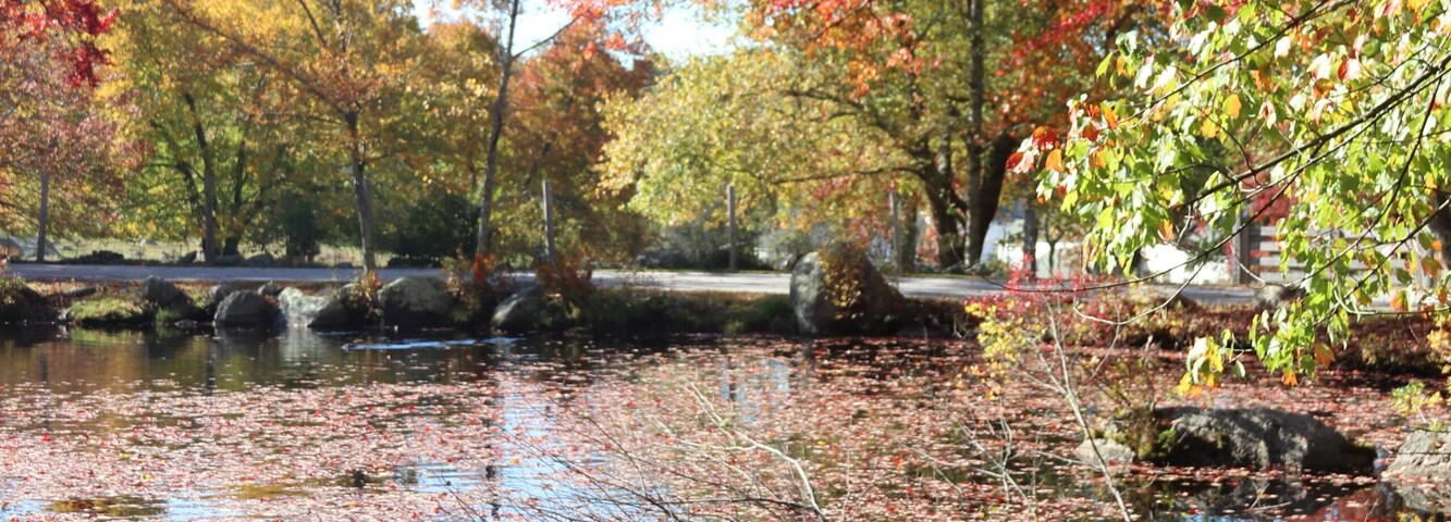 Duck Pond in Fall, West Greenwich, Rhode Island