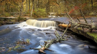 Fresh rains the night before was a good sign that the waterfalls would offer some great views.