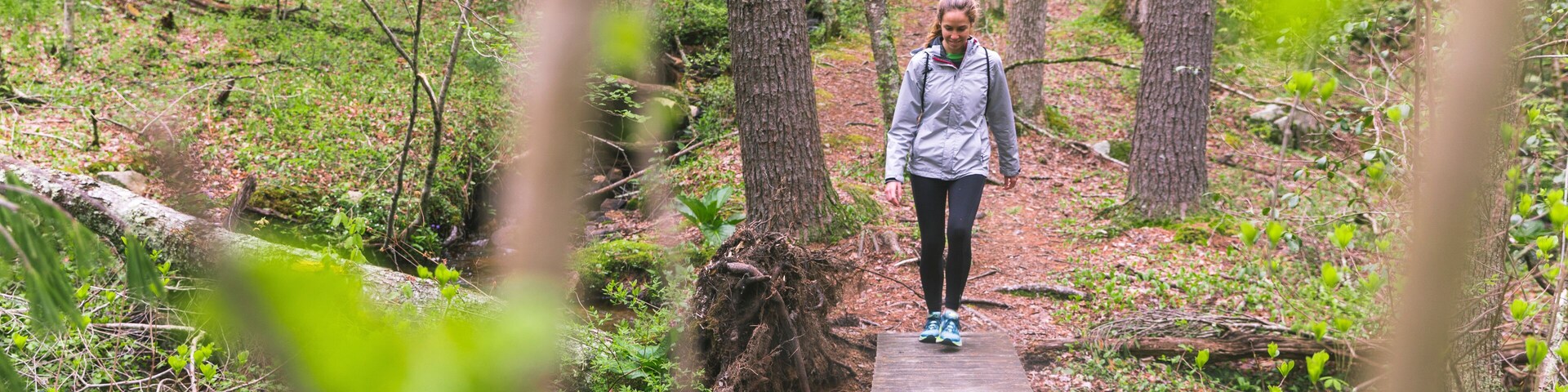 Uma pessoa está em cima de uma ponte de madeira em uma área arborizada, com árvores e vegetação.