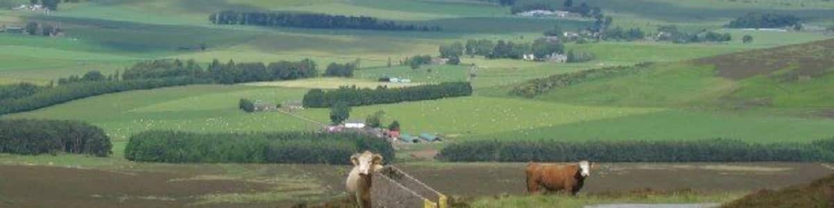 Strathmore from Craigowl Hill. The road to the masts winds around the north of the hill giving this view across Strathmore towards the Highlands.
