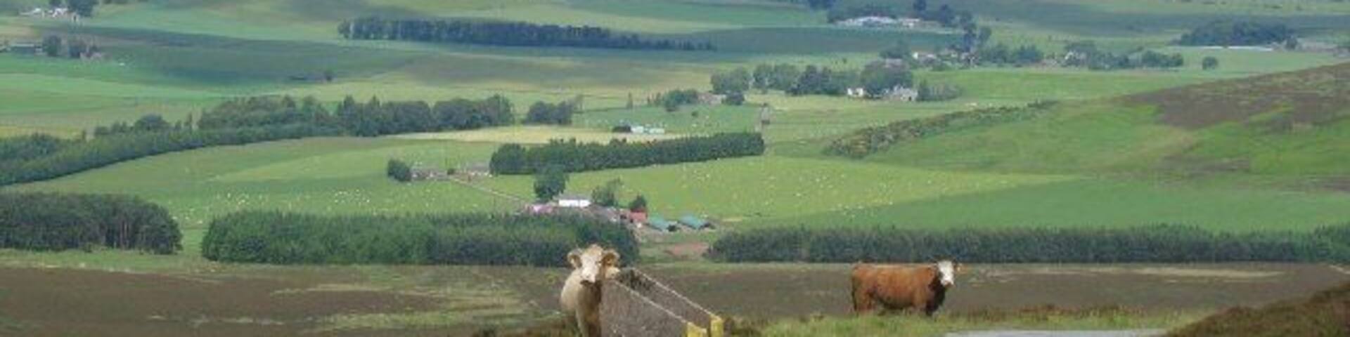 Strathmore from Craigowl Hill. The road to the masts winds around the north of the hill giving this view across Strathmore towards the Highlands.