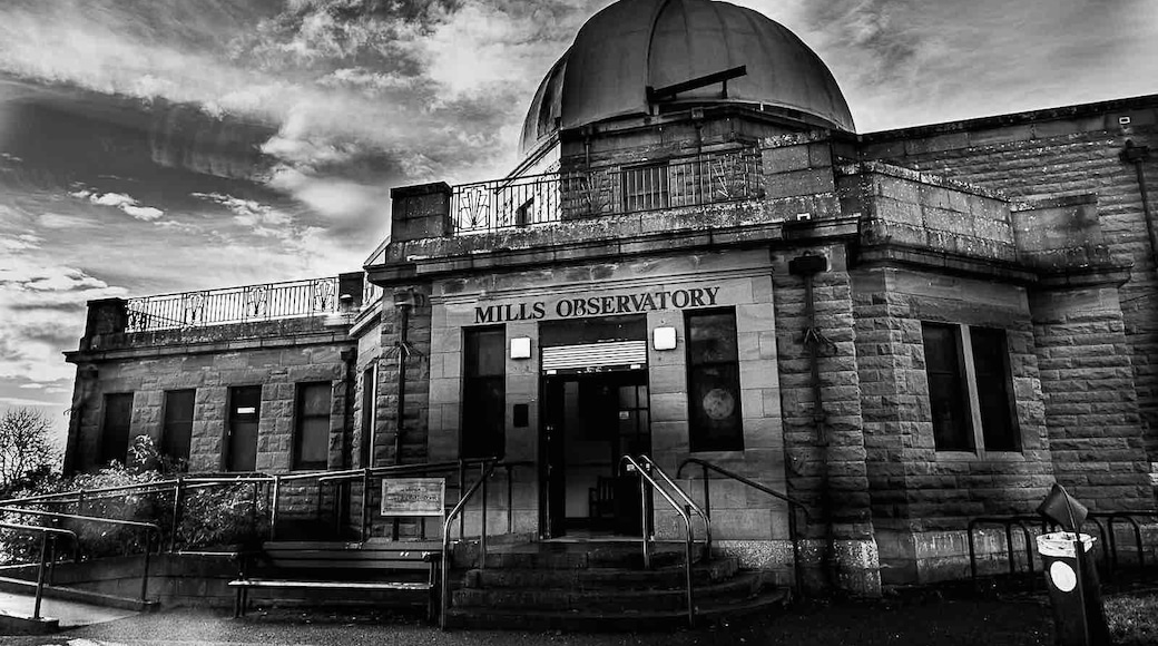 Nice walk with the dogs up Balgay Hill