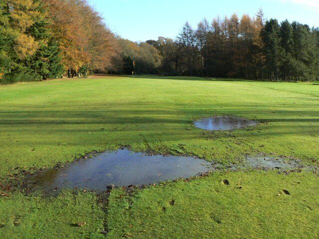 A grassy field with two ponds and trees in the background.