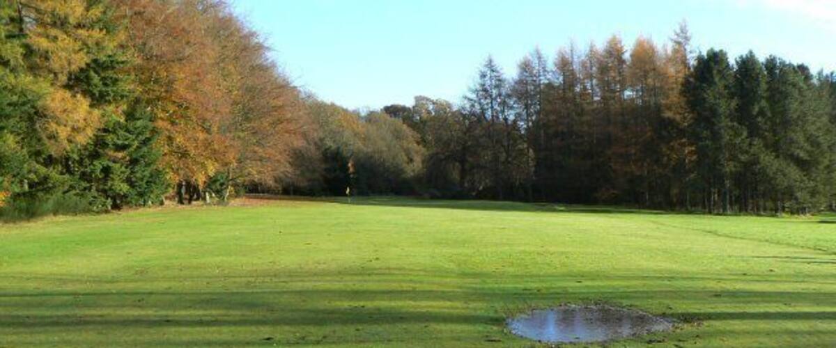 A grassy field with two ponds and trees in the background.