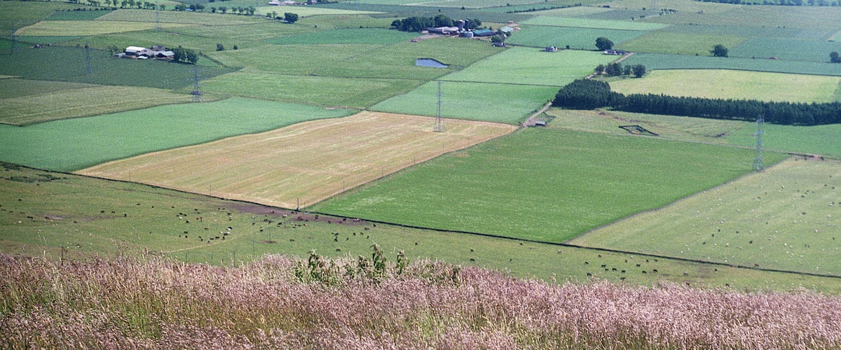A rural landscape with fields, a small building, and a distant town.