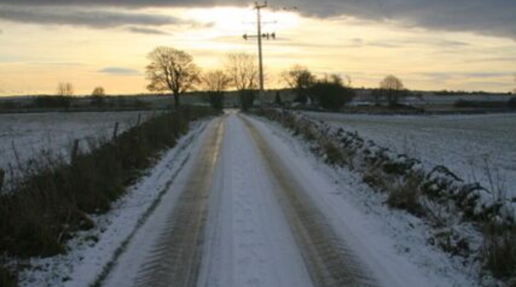 The road from Balcalk Farm, Tealing