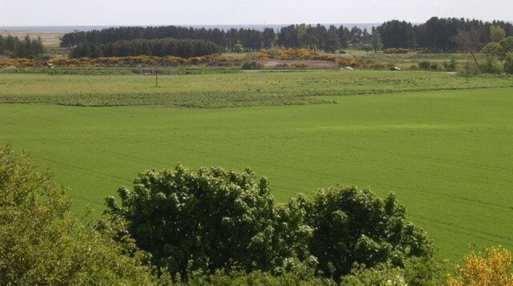 View from Ashbank, near Monifieth. The view looks south east from Ashbank in the middle of the grid square towards the A930,the golf course at Monifieth and the mouth of the Tay.