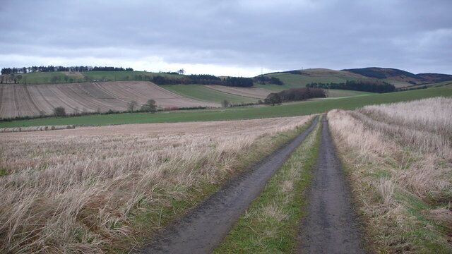 Track to Scotston Farm The track to Scotston Farm - an organic farm with SOPA accreditation. There were many pheasants about.