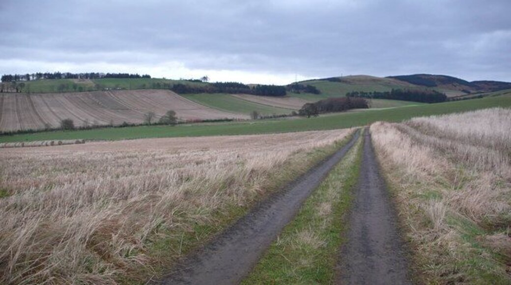 Track to Scotston Farm The track to Scotston Farm - an organic farm with SOPA accreditation. There were many pheasants about.