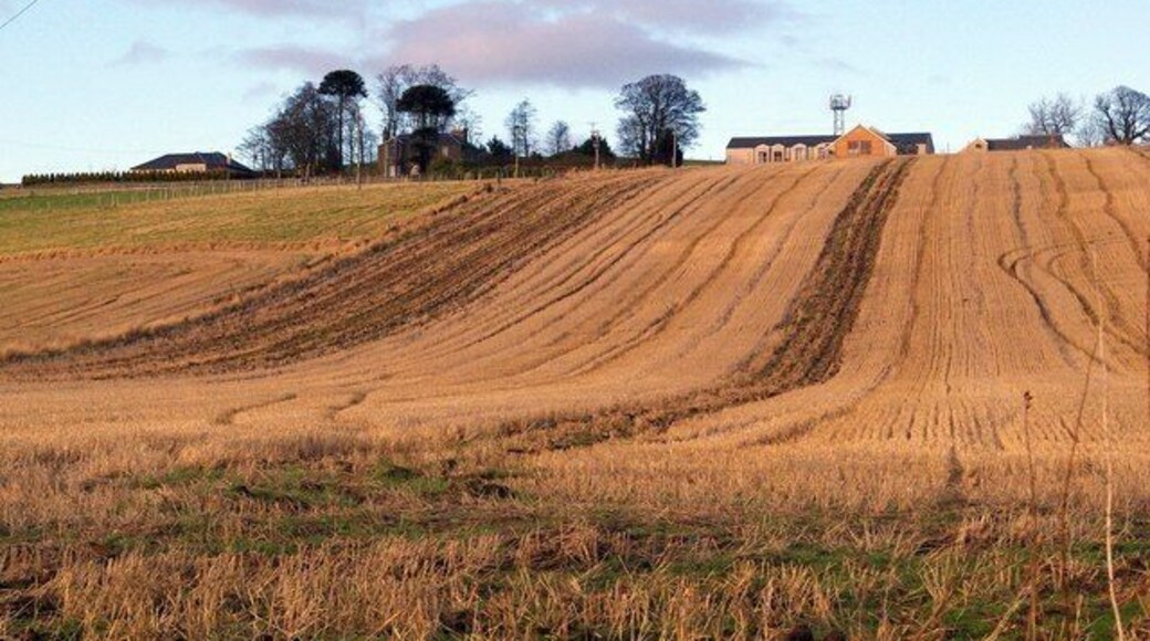 South Powrie Farm and Farm Lands The picture was taken from the Dundee / Burnside of Duntrune Road.