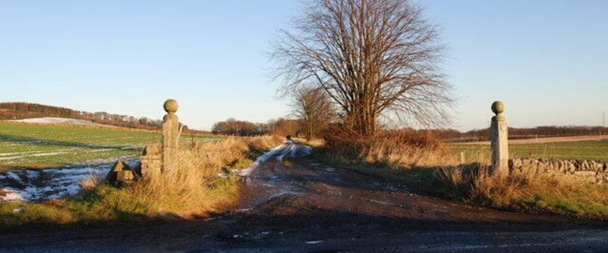 Driveway to Pitpointie Farm This is the western driveway to Pitpointie farm. It is dead level and straight, unsurprising as from 1831-1861 it was the route of the Dundee-Newtyle railway. Carriages adapted from stagecoaches were pulled by horses, steam locomotives and if the wind was in the right direction, by sail.