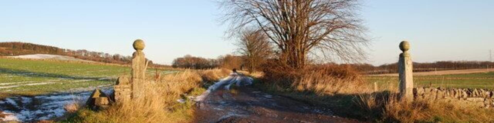 Driveway to Pitpointie Farm This is the western driveway to Pitpointie farm. It is dead level and straight, unsurprising as from 1831-1861 it was the route of the Dundee-Newtyle railway. Carriages adapted from stagecoaches were pulled by horses, steam locomotives and if the wind was in the right direction, by sail.