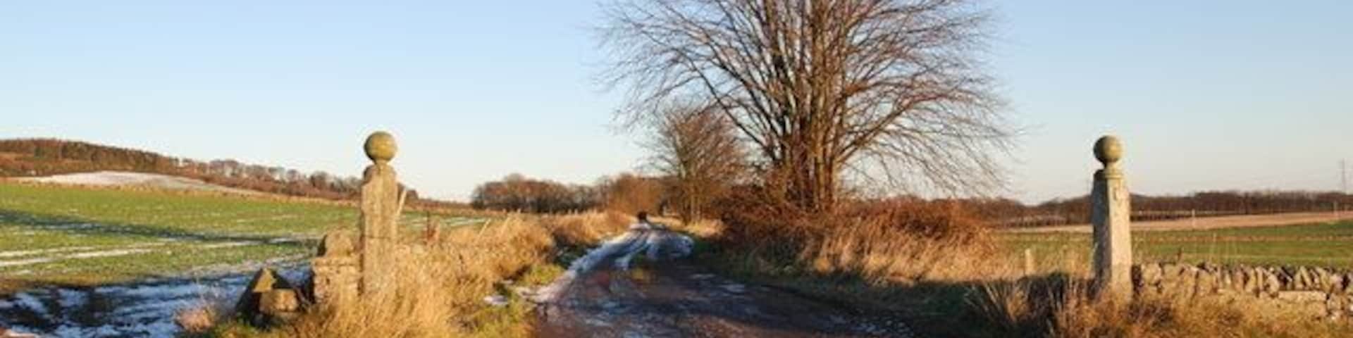 Driveway to Pitpointie Farm This is the western driveway to Pitpointie farm. It is dead level and straight, unsurprising as from 1831-1861 it was the route of the Dundee-Newtyle railway. Carriages adapted from stagecoaches were pulled by horses, steam locomotives and if the wind was in the right direction, by sail.