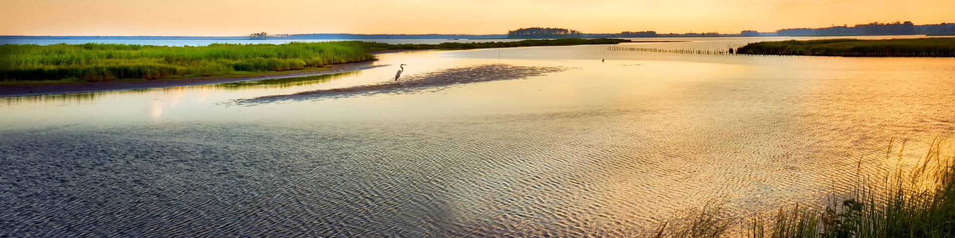 A calm lake with a clear sky and a distant shoreline.
