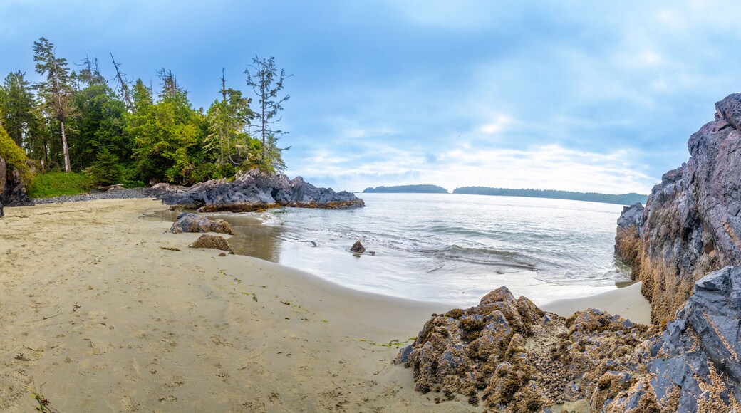 Panoramic view of mackenzie beach embracing the pacific ocean in tofino, vancouver island