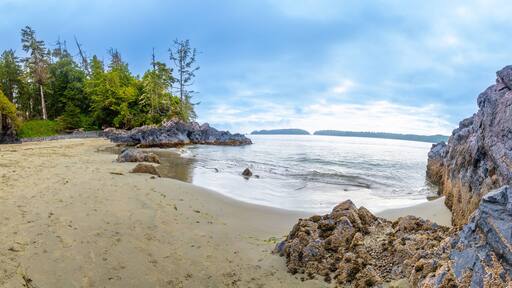 Panoramic view of mackenzie beach embracing the pacific ocean in tofino, vancouver island