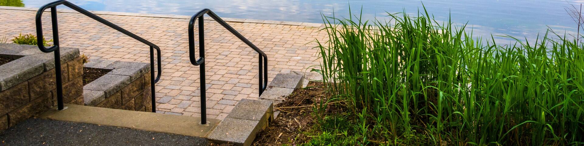 Stairs and grasses along the shore of Wilde Lake in Columbia, Ma
