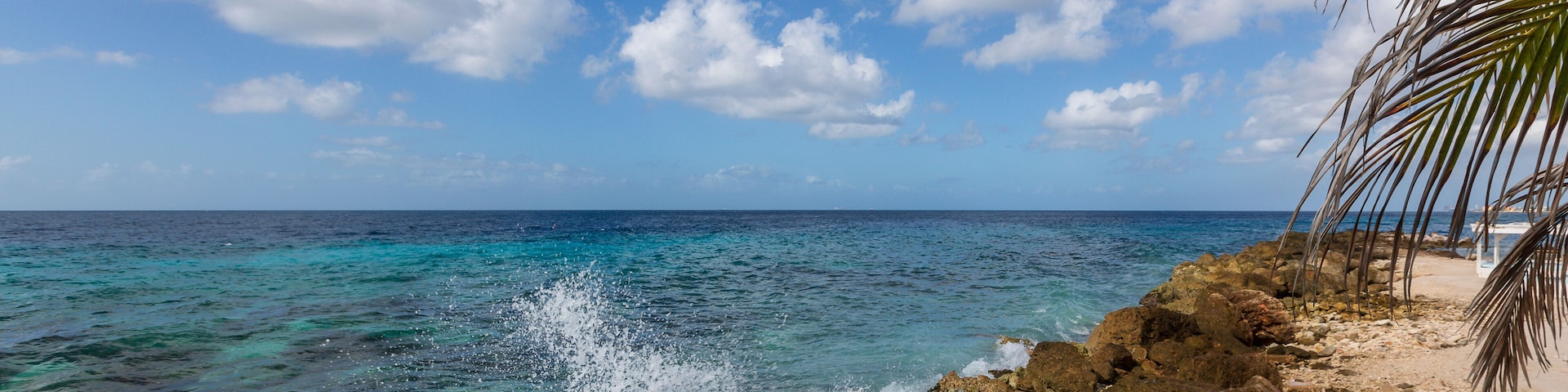 Uma praia com águas cristalinas azul-turquesa, costa rochosa e uma palmeira.