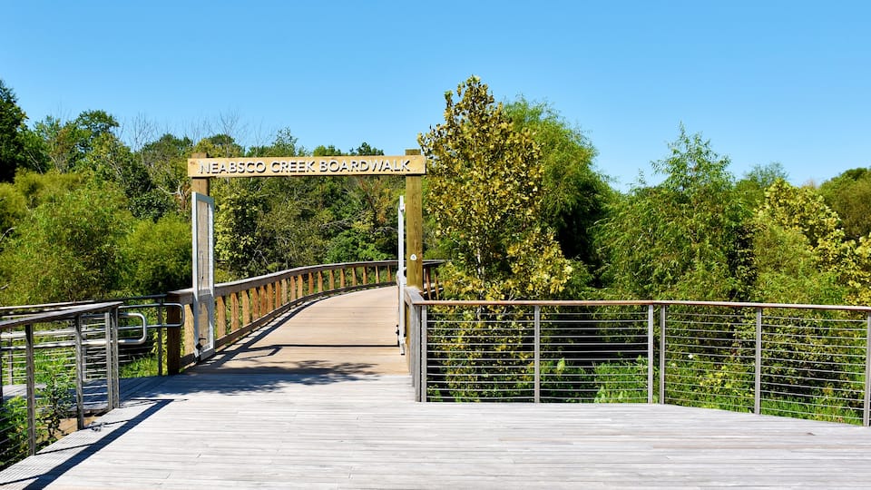 A wooden boardwalk with a metal railing, surrounded by lush greenery and trees.