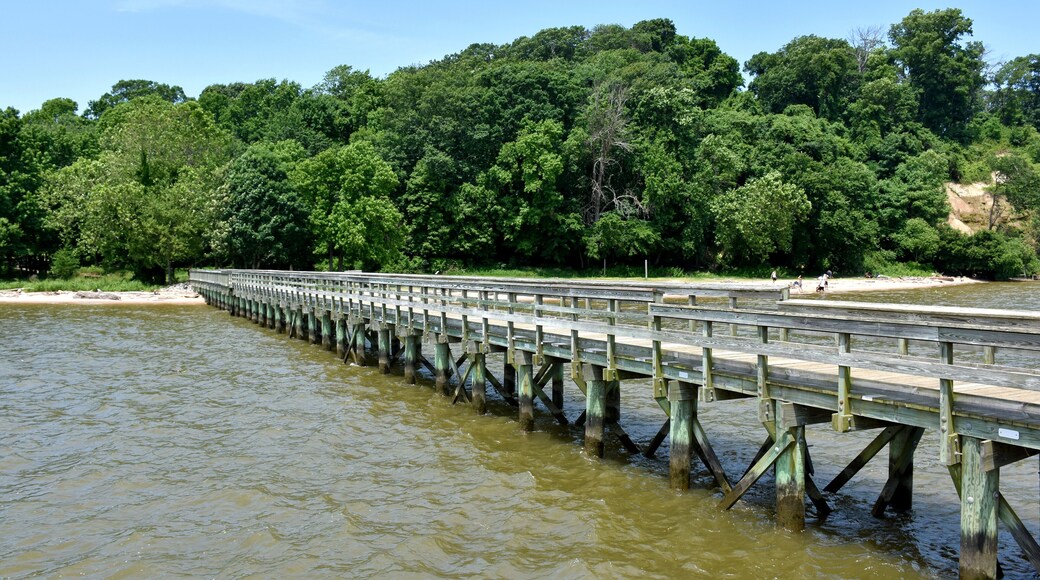 Woodbridge