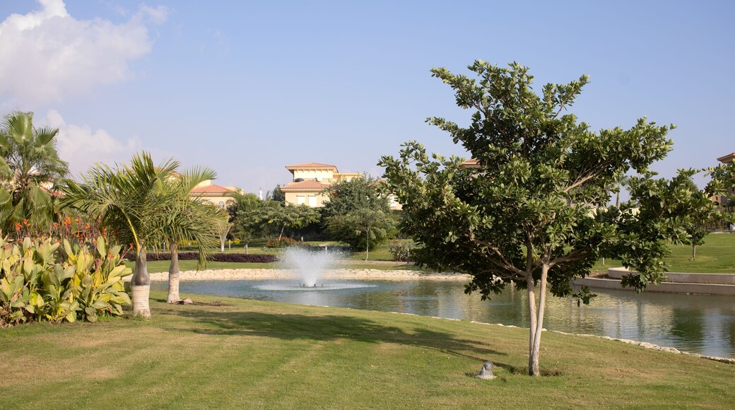 Ein angelegter Garten mit Teich, Palmen und Springbrunnen.