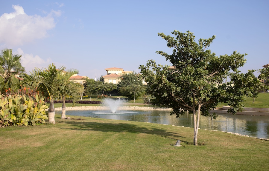 Un jardín ajardinado con un estanque, palmeras y una fuente.