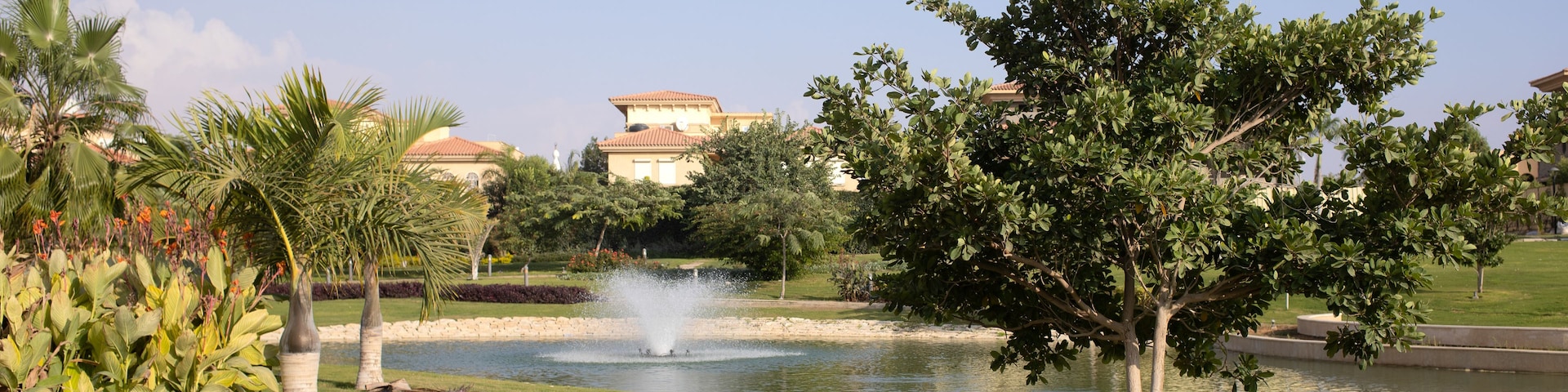 Un jardín ajardinado con un estanque, palmeras y una fuente.