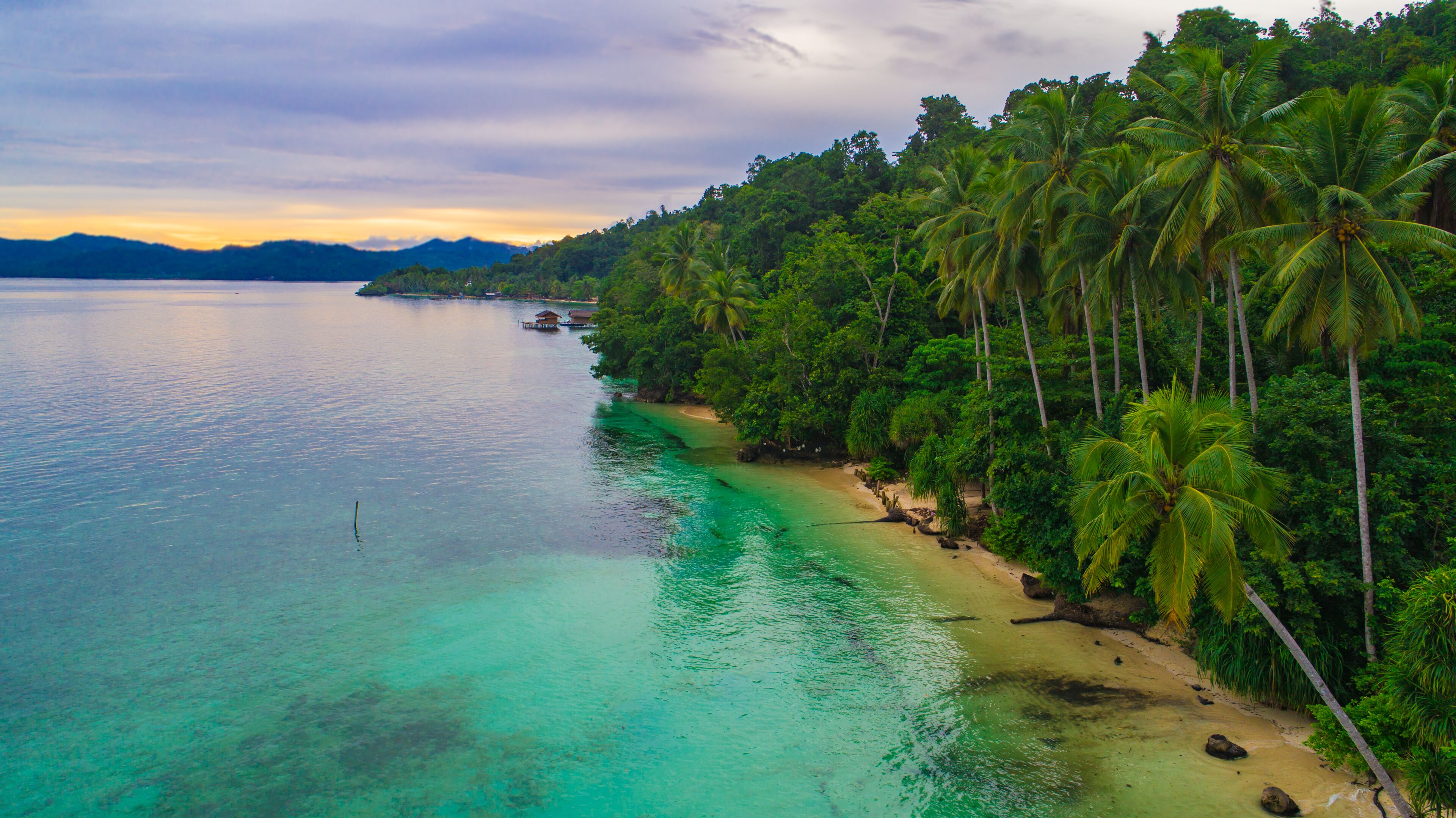 A tropical beach with clear turquoise waters, palm trees, and a distant mountain range.
