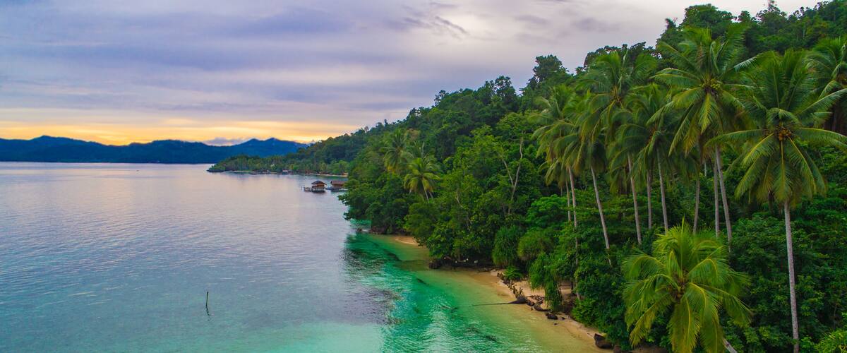 A tropical beach with clear turquoise waters, palm trees, and a distant mountain range.