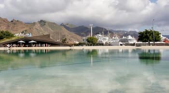 Zona Centro