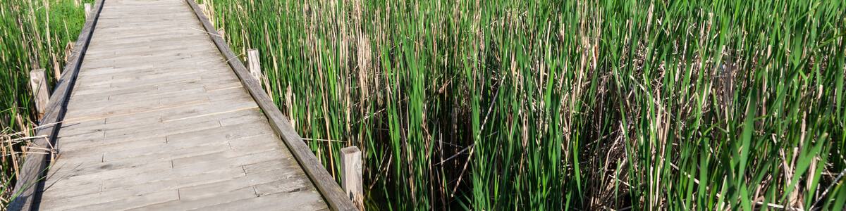 Lake Elmo Park Reserve