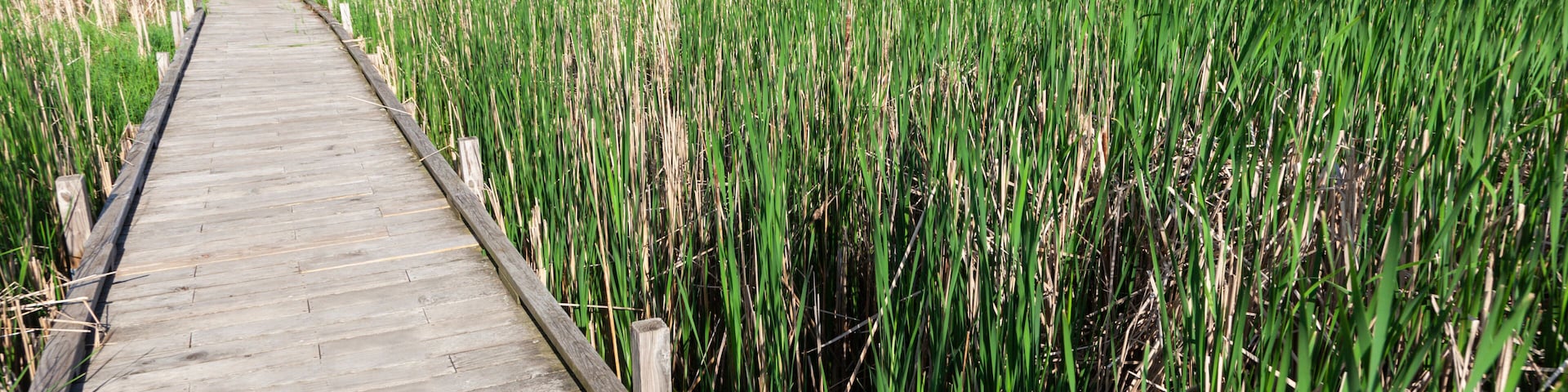 Lake Elmo Park Reserve