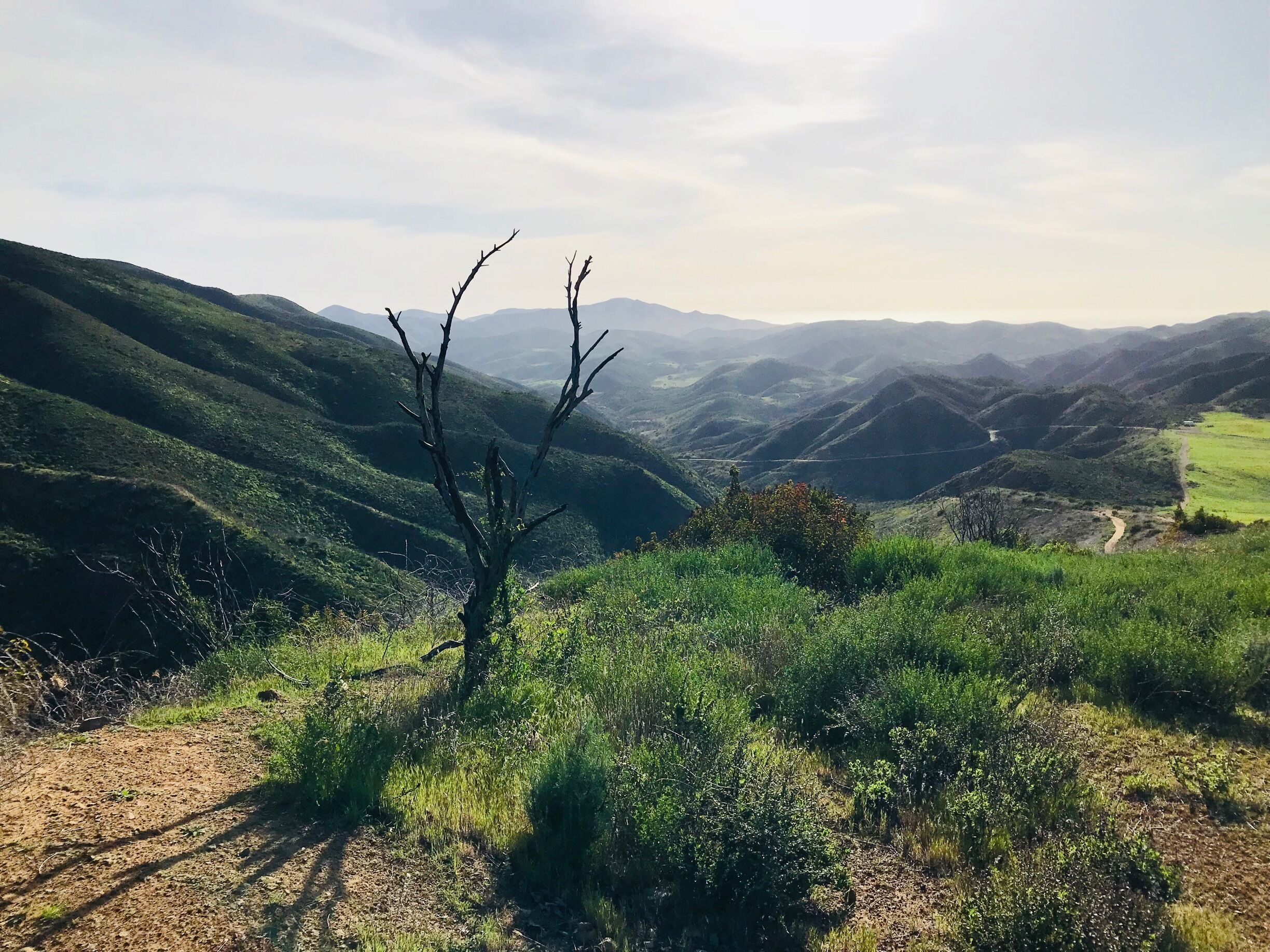 Hiking on the overlook trail 🏃🏻‍♂️