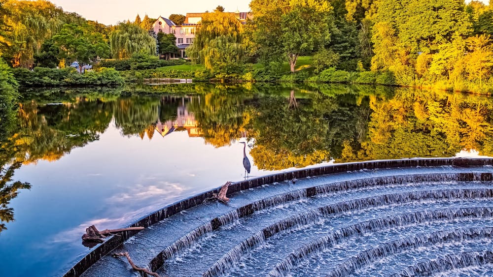 Un lac paisible, avec un saule pleureur, un oiseau et une maison en arrière-plan.